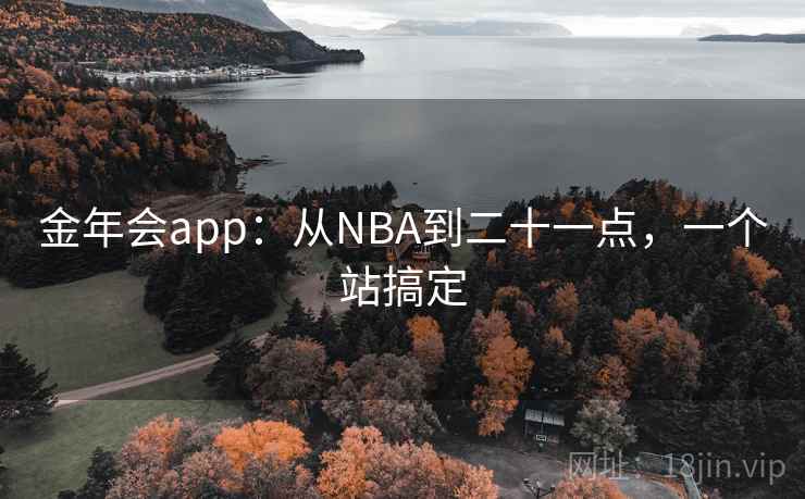 金年会app：从NBA到二十一点，一个站搞定