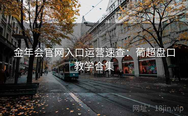 金年会官网入口运营速查：葡超盘口教学合集
