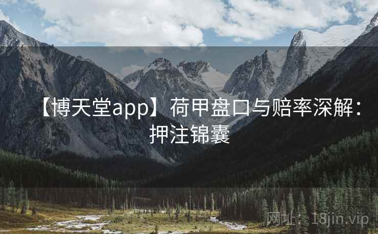 【博天堂app】荷甲盘口与赔率深解：押注锦囊