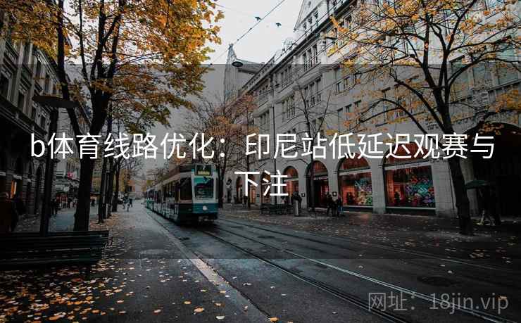b体育线路优化:印尼站低延迟观赛与下注