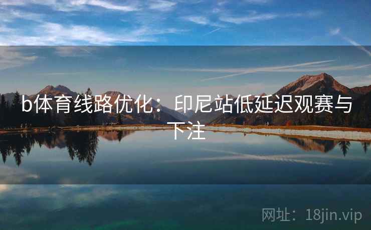 b体育线路优化：印尼站低延迟观赛与下注